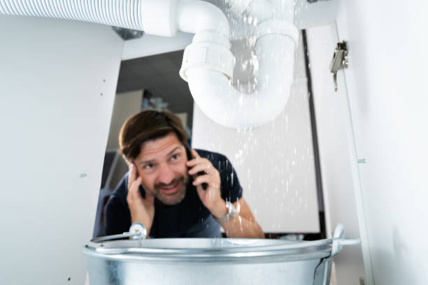 Best Clogged Drain Plumber  in La Cresta, CA