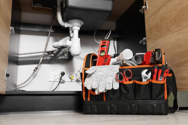 Best Plumbing Inspection Services  in La Cresta, CA